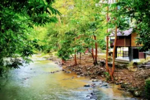 hotel and homestay list janda baik pahang 300x200